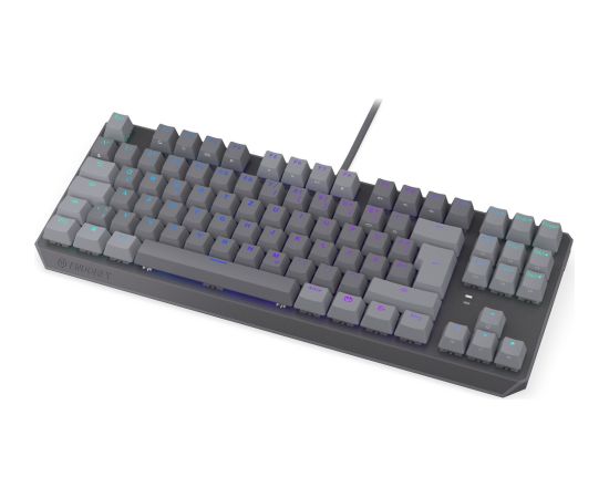 Thock V2 TKL (gray, DE layout, ENDORFY Red) Клавиатуры