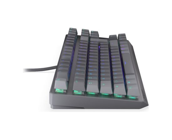 Thock V2 TKL (gray, DE layout, ENDORFY Red) Клавиатуры