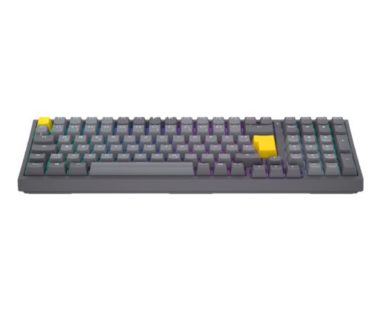 Celeris 1800 (gray, DE layout, ENDORFY Yellow by Gateron) Klaviatūras