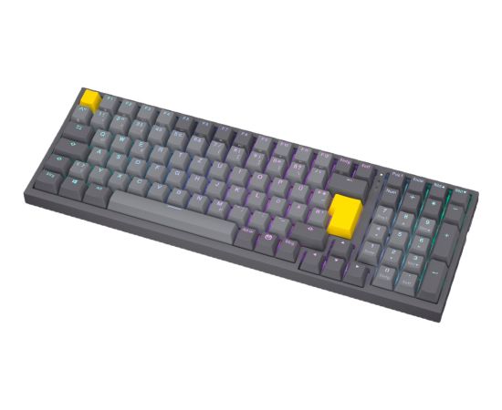 Celeris 1800 (gray, DE layout, ENDORFY Yellow by Gateron) Klaviatūras