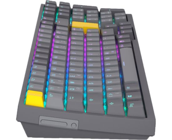 Celeris 1800 (gray, DE layout, ENDORFY Yellow by Gateron) Klaviatūras
