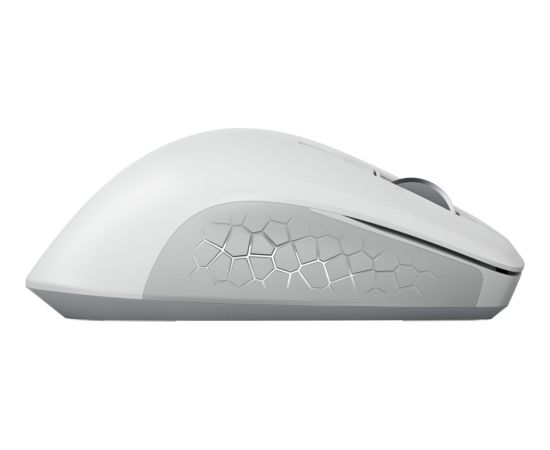 STREAM DESKTOP COMFORT (white, DE layout, Cherry SX scissor technology) Klaviatūras