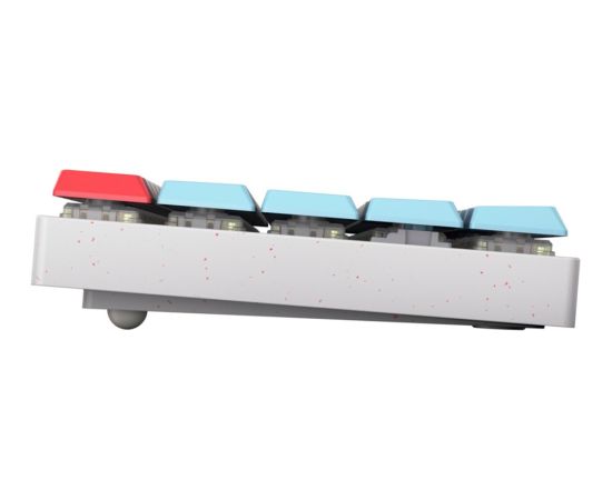 MX-LP 2.1 Compact Wireless (white/multicolor, DE layout, Cherry MX Low Profile RGB Speed) Клавиатуры