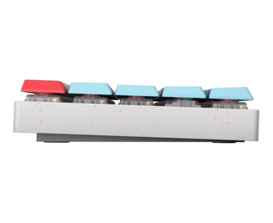 MX-LP 2.1 Compact Wireless (white/multicolor, DE layout, Cherry MX Low Profile RGB Speed) Клавиатуры