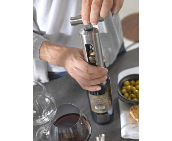 Classic corkscrew ZWILLING Sommelier 39500-048-0 Naži