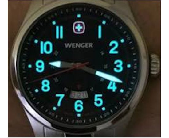 WENGER TERRAGRAPH 01.0541.121 Наручные часы