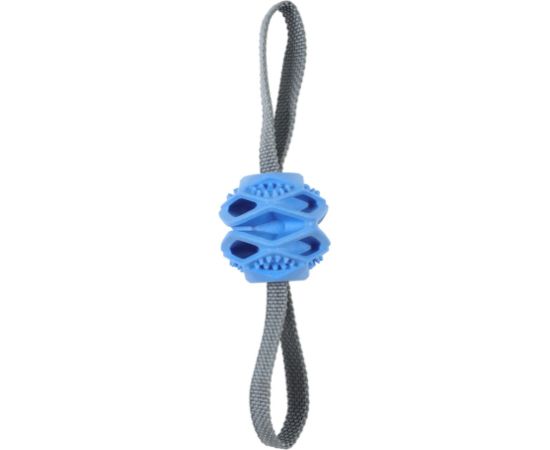 ZOLUX Ball TPR Outdoor Blue - Dog toy Citas preces
