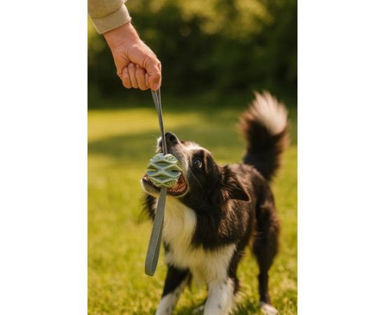 ZOLUX Ball TPR Outdoor Blue - Dog toy Citas preces