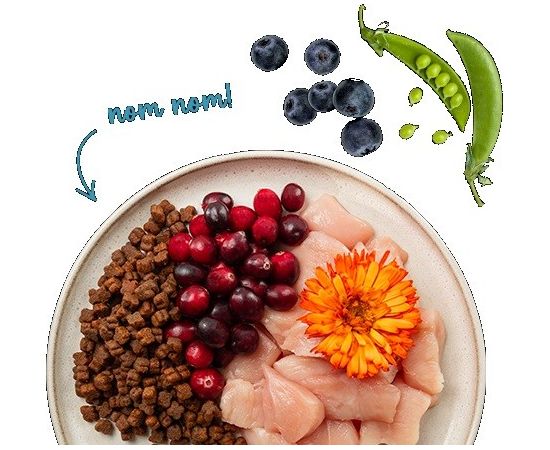 BOSCH Sanabelle Kitten Kurczak 2kg Kaķu sausā barība