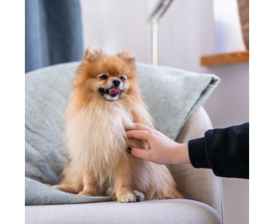 ADDVENA POWER OF NATURE dla starszych psów małych ras 10kg Suņu barība