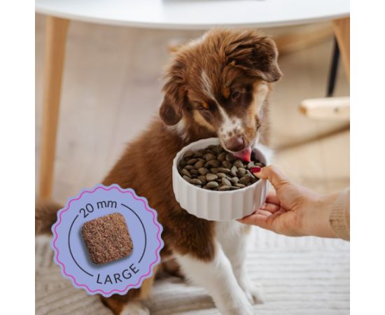 ADDVENA BOOSTED BY SUPERFOODS dla szczeniąt średnich i dużych ras 2,5kg Suņu barība