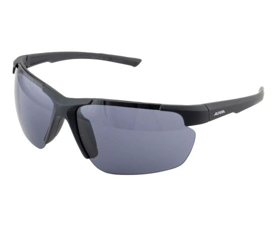 Okulary ALPINA DEFEY HR kolor BLACK MATT szkło black Cat. 3 Солнцезащитные очки