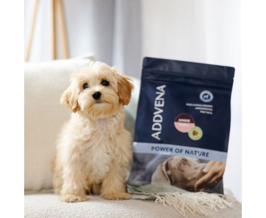 ADDVENA POWER OF NATURE dla szczeniąt małych ras 2,5kg Suņu barība