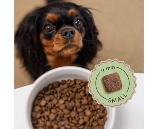 ADDVENA BOOSTED BY SUPERFOODS dla dorosłych psów małych ras 2,5kg Suņu barība