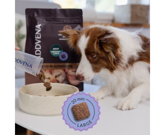 ADDVENA BOOSTED BY SUPERFOODS dla dorosłych psów średnich i dużych ras 2,5kg Suņu barība
