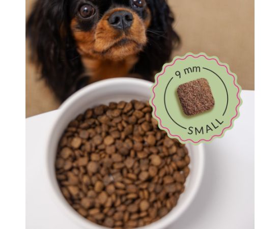 ADDVENA BOOSTED BY SUPERFOODS dla szczeniąt małych ras 2,5kg Suņu barība