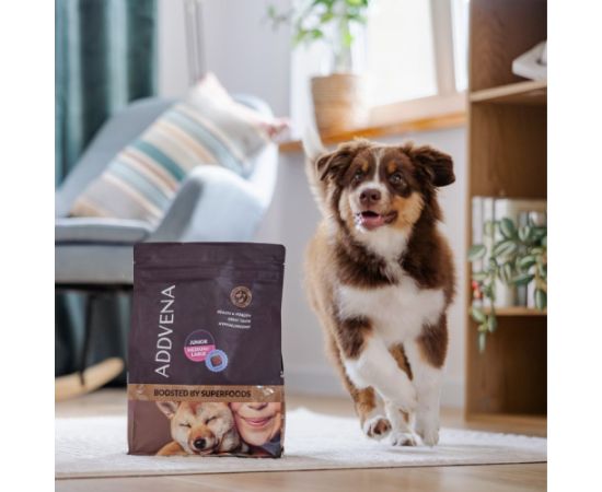 ADDVENA BOOSTED BY SUPERFOODS dla szczeniąt średnich i dużych ras 10kg Suņu barība