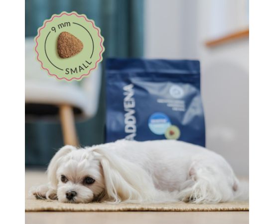ADDVENA POWER OF NATURE Sensitive dla psów wrażliwych małych ras 10kg Suņu barība