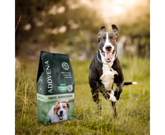 ADDVENA TASTE SENSATIONS dla dorosłych psów średnich i dużych ras 2,5kg Suņu barība