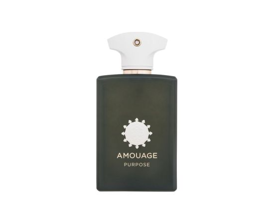 Amouage Purpose 100ml Unisex Smaržas
