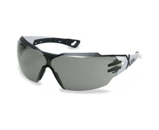Aizsargbrilles Uvex Pheos CX2; pelēki Citi darbarīki un piederumi