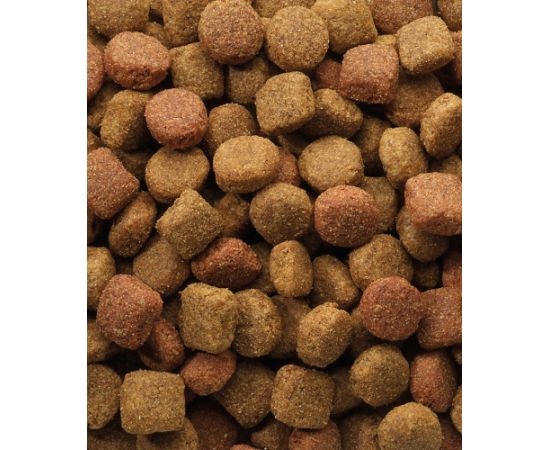 VERSELE-LAGA Classic Duo Krok - dry dog food - 20 kg Suņu barība