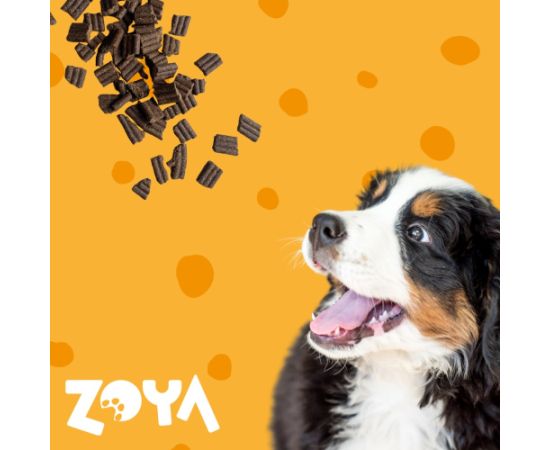 ZOYA ColdPRO Lamb - dry dog food - 1kg Suņu barība