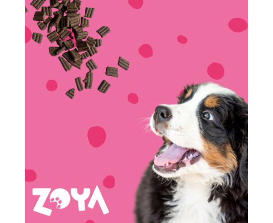 ZOYA ColdPRO Beef - dry dog food - 1kg Suņu barība