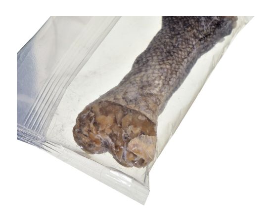 JOHN DOG Chewing bone with cod - dog chew - 12 cm Suņu barība