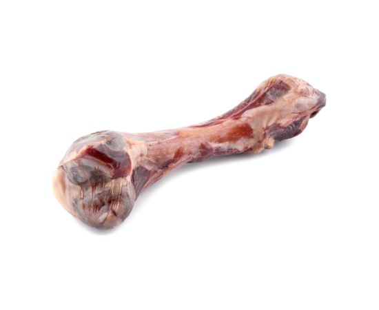 MACED Parma ham bone - dog chew - 330g Suņu barība