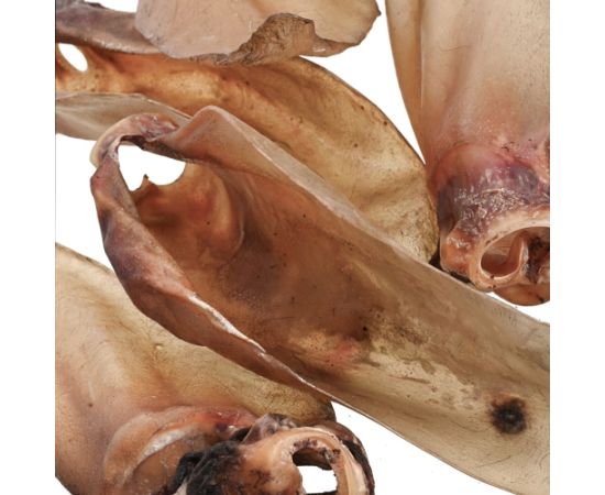 PETITTO Ucho Wołowe z chrząstką - przysmak dla psa -10 szt. Suņu barība