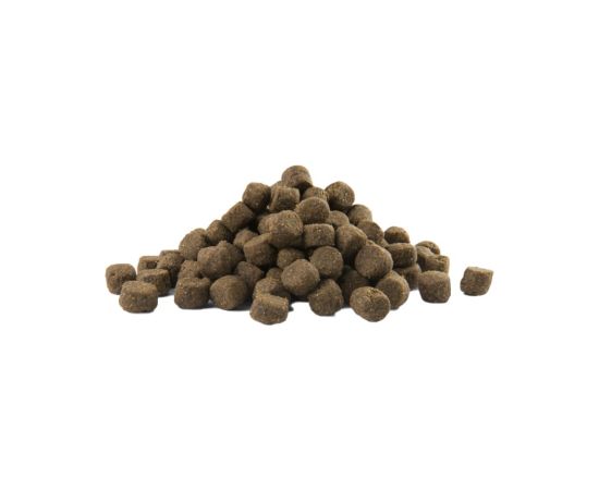 Versele-Laga Adult Digestion Medium & Maxi 12.5 kg Adult Suņu barība