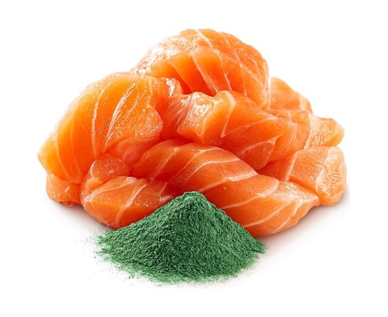 SHELMA with salmon in sauce - wet cat food - 85g Kaķu konservi