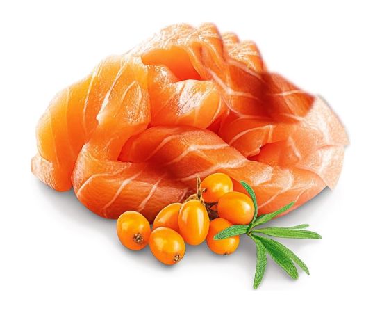 SHELMA Kitten with salmon in sauce - wet cat food - 85g Kaķu konservi