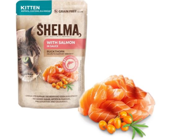 SHELMA Kitten with salmon in sauce - wet cat food - 85g Kaķu konservi