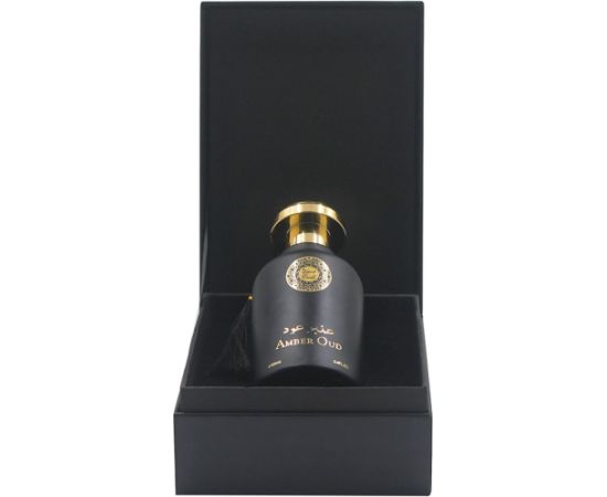 Histoires de Parfums Oudi, Amber Oud, Eau De Parfum, Unisex, 100 ml Unisex Unisex Smaržas
