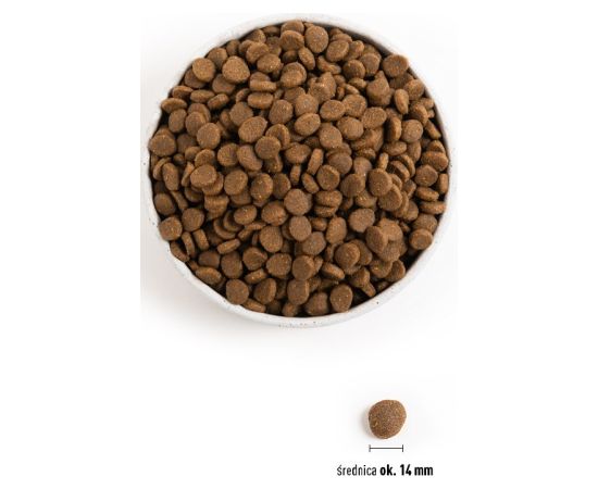 ACANA Highest protein Wild Prairie Dog - dry dog food - 11,4kg Suņu barība