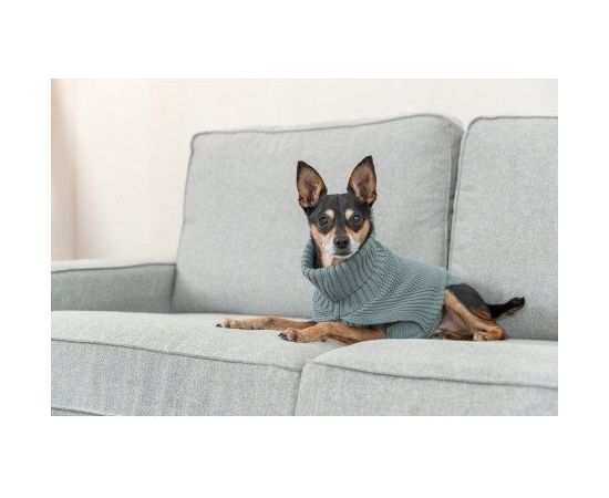 Trixie CityStyle Berlin pullover, S: 33 cm, sage Citas preces