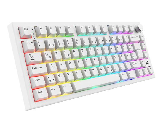 SKILLER SGK55W (white, DE layout, Sharkoon Linear) Клавиатуры
