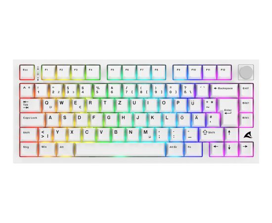 SKILLER SGK55W (white, DE layout, Sharkoon Linear) Клавиатуры