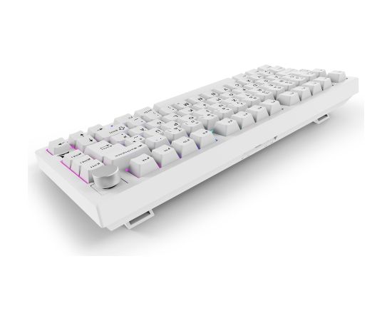 SKILLER SGK55W (white, DE layout, Sharkoon Linear) Клавиатуры