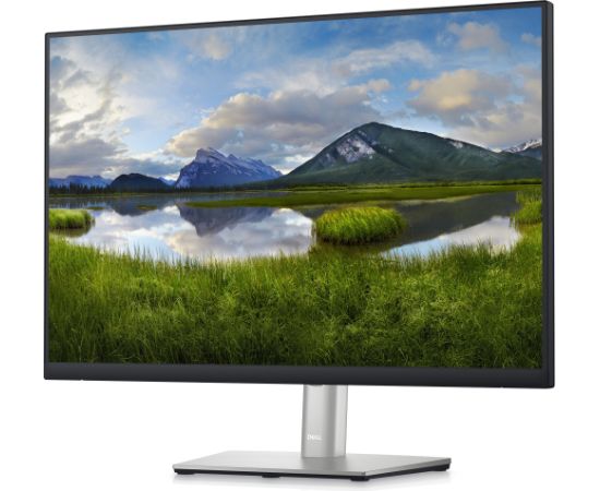 Dell P2423 Refurbished (61 cm (24 Inch), Silver/Black, WUXGA, IPS, 60 Hz, HDMI, DP, DVII, VGA, USB Hub) LED / LCD мониторы