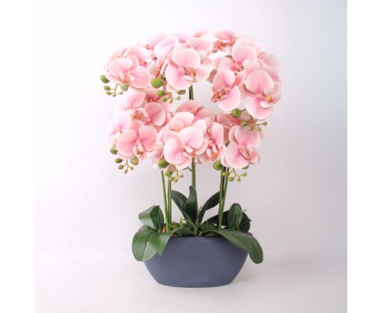 Orhideja GARDEN QUEEN H64cm, gaiši rozā Jaunumi, mēbeles, māja