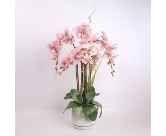 Orhideja GARDEN QUEEN H68cm, gaiši rozā Jaunumi, mēbeles, māja