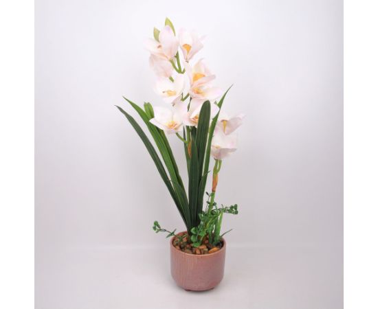 Orchid GARDEN QUEEN H70cm, white Новости, мебель, дом