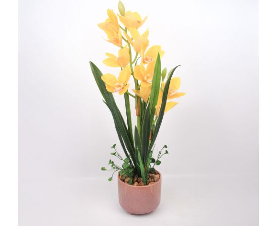 Orchid GARDEN QUEEN H70cm, yellow Новости, мебель, дом