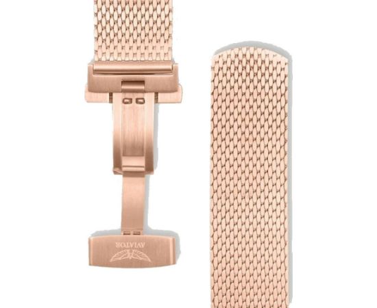 Aviator Douglas Day Date V.3.20.2.225.5 Наручные часы