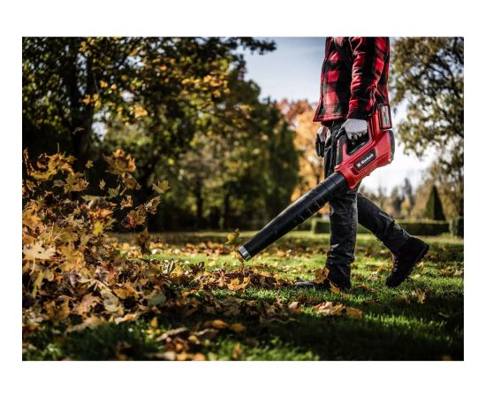 EINHELL Cordless Leaf Blower GP-LB 36/230 Li E BL-Solo Jaunumi -Dārzam