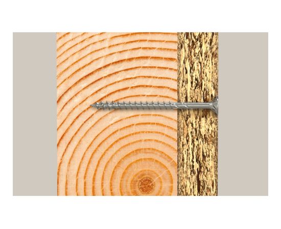 Fischer L-BOXX 102 PowerFast II Pan-Head (silver, 1801 pieces, with professional bit set) Jaunumi -Dārzam