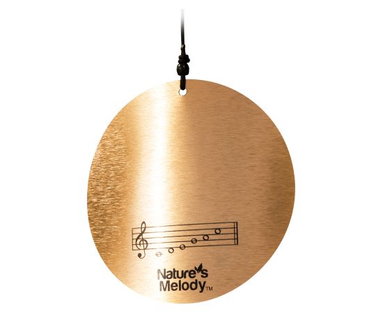 Колокольчик ветра NATURE'S MELODY, H116см, золото Новинки Для дома и сада 